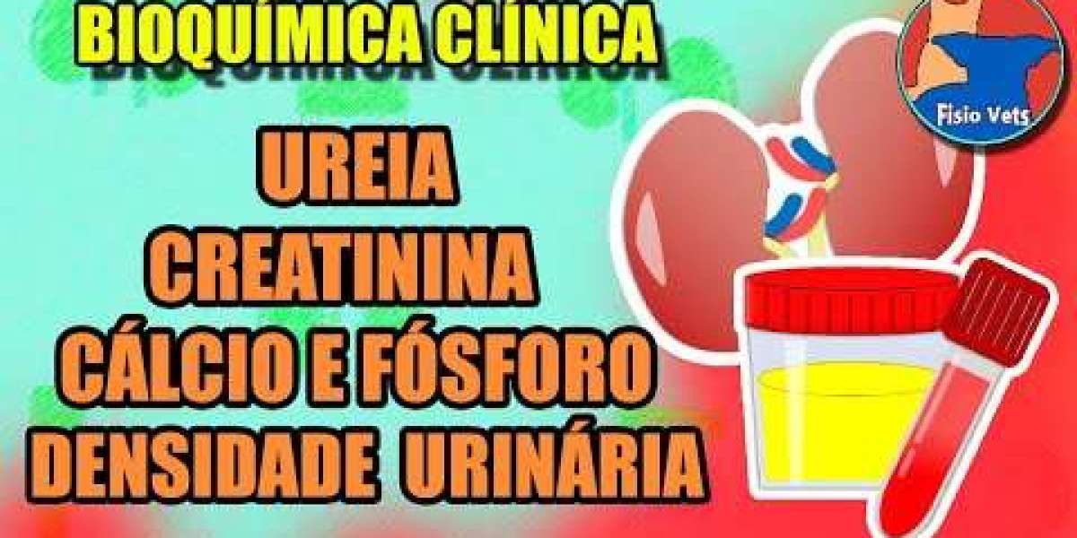 Fosfatase Alcalina no Seu Pet: Entenda a Importância deste Exame para a Saúde do Seu Companheiro