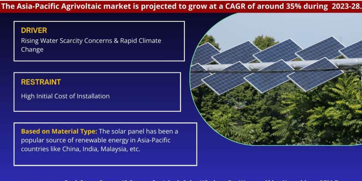 Asia-Pacific Agrivoltaic Market Growth and Development Insight - Size, Share, Growth, and Industry Analysis| MarkNtel