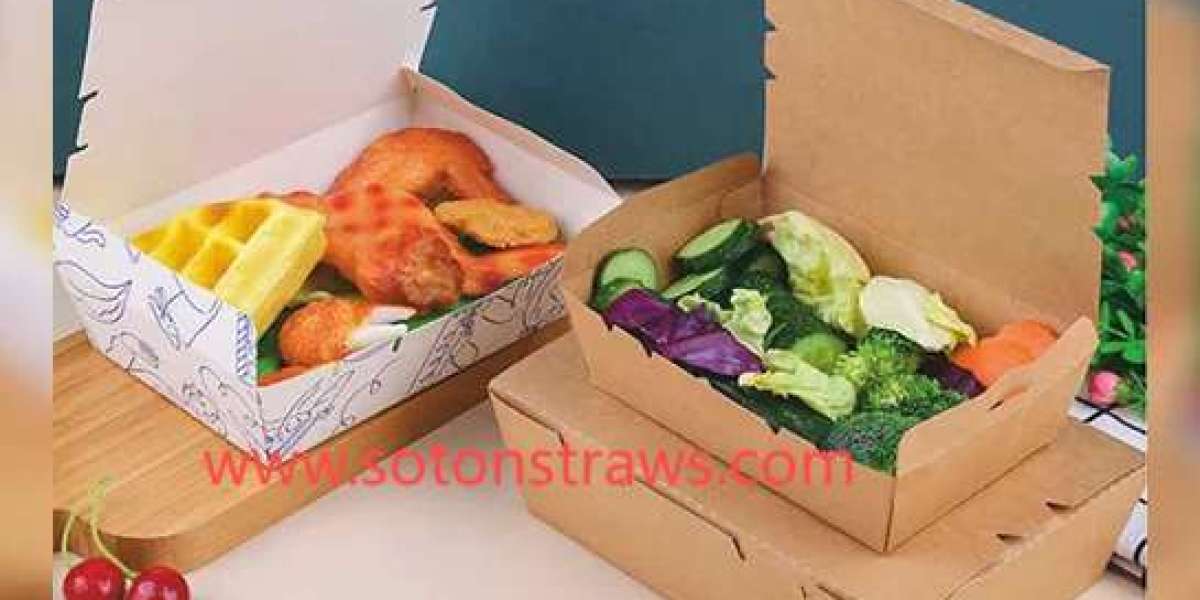 Disposable Kraft Box: The Loom of Cultural Preservation