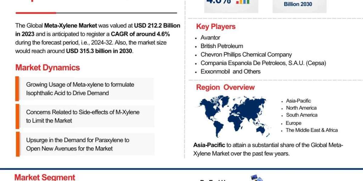 Global Meta-Xylene Industry Overview: Market Trends and Competitive Landscape 2024-2032| The Report Cube