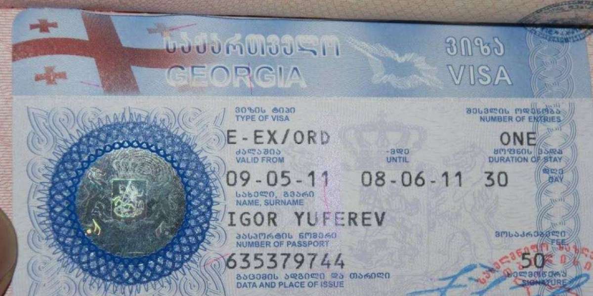 Understanding the Process for a Student Visa to Georgia (Tbilisi) for UAE Nationals