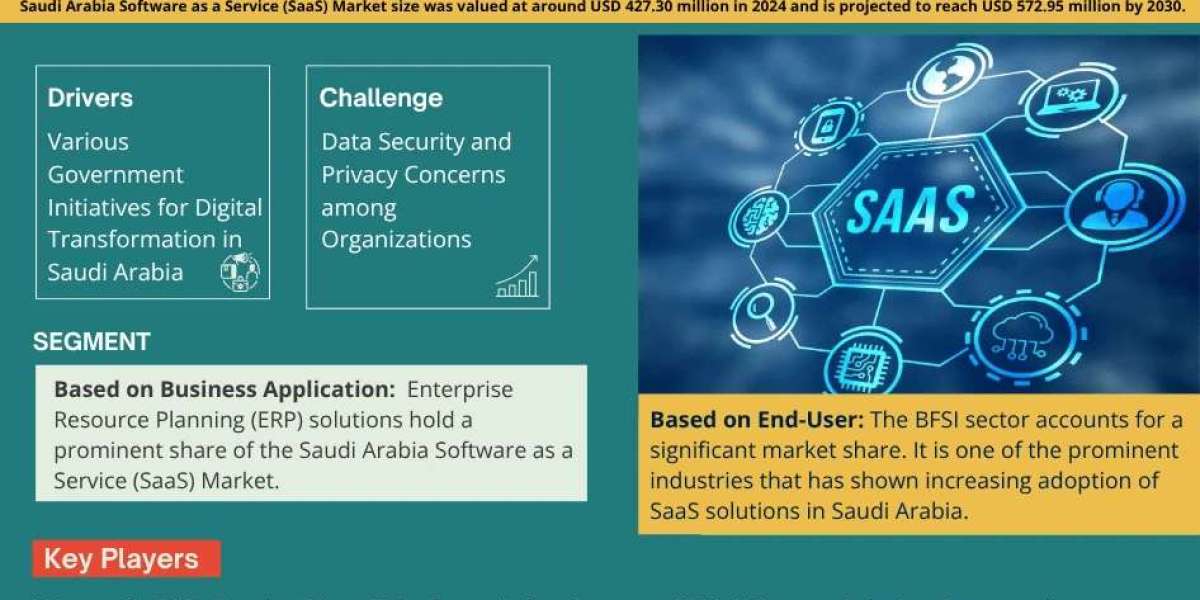 Saudi Arabia Software as a Service (SaaS) Market Analysis 2030 - Unveiling Size, Share, Growth, Trends, and Industry Ins