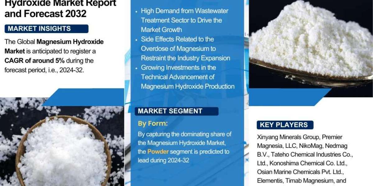 Global Magnesium Hydroxide Industry Overview: Market Trends and Competitive Landscape 2024-2032| The Report Cube