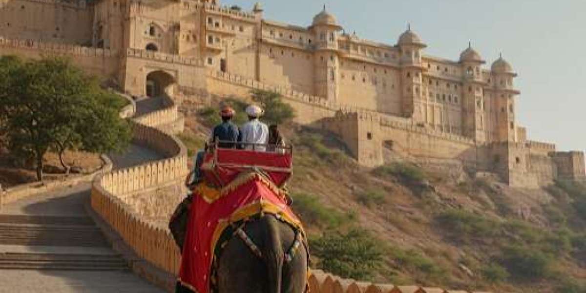 Planning Your Amer Fort Elephant Ride: Tips, Timings, and Ticket Info