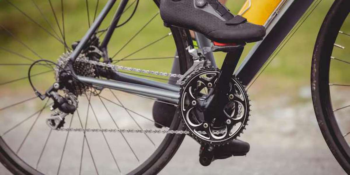 MTB Flat Shoes: Essential Footwear for South African Trail Riders