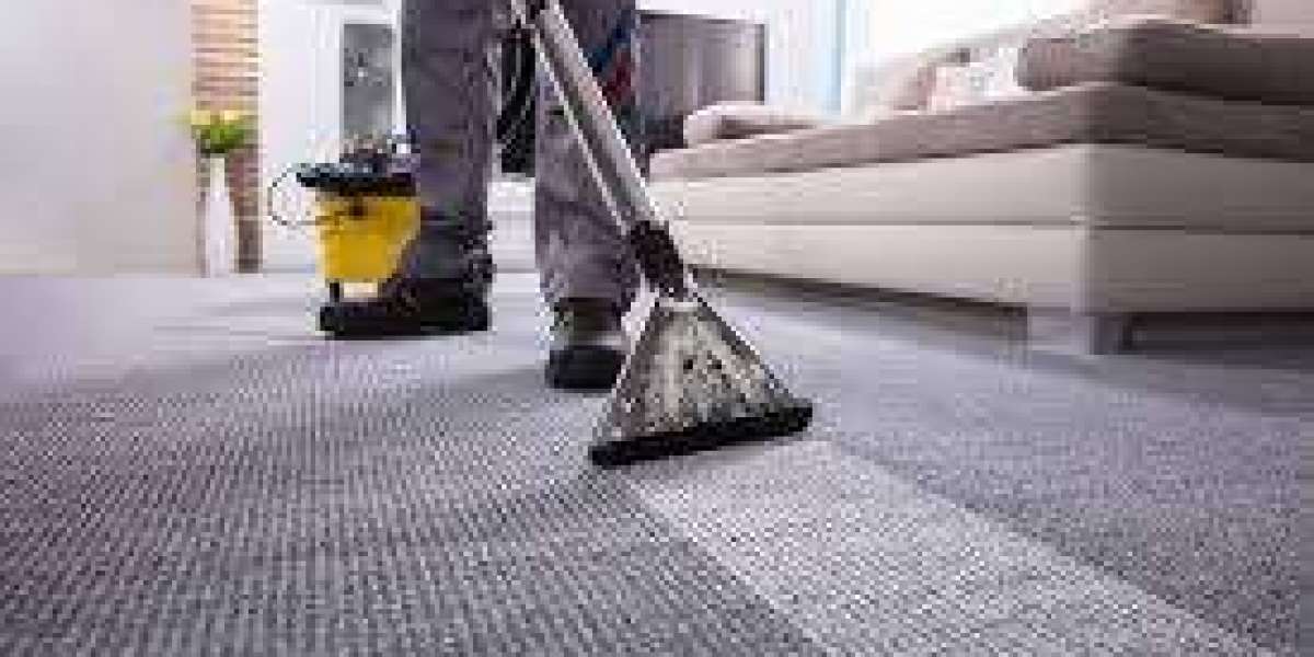 ﻿﻿Say Goodbye to Pet Allergies with Deep Carpet Cleaning