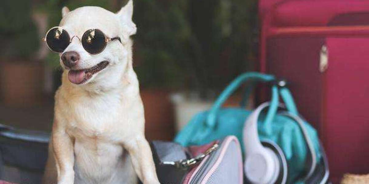 Keeping Pets Safe and Stylish with a Pet Sling Carrier