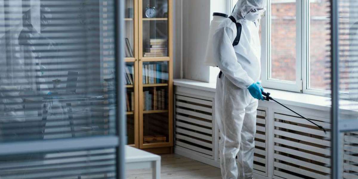 Local Exterminators Near Me Pest Control Services in Gainesville You Can Count On