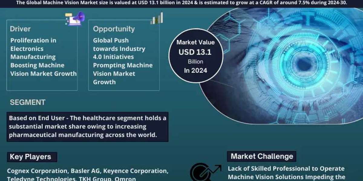 Machine Vision Market Growth and Development Insight - Size, Share, Growth, and Industry Analysis