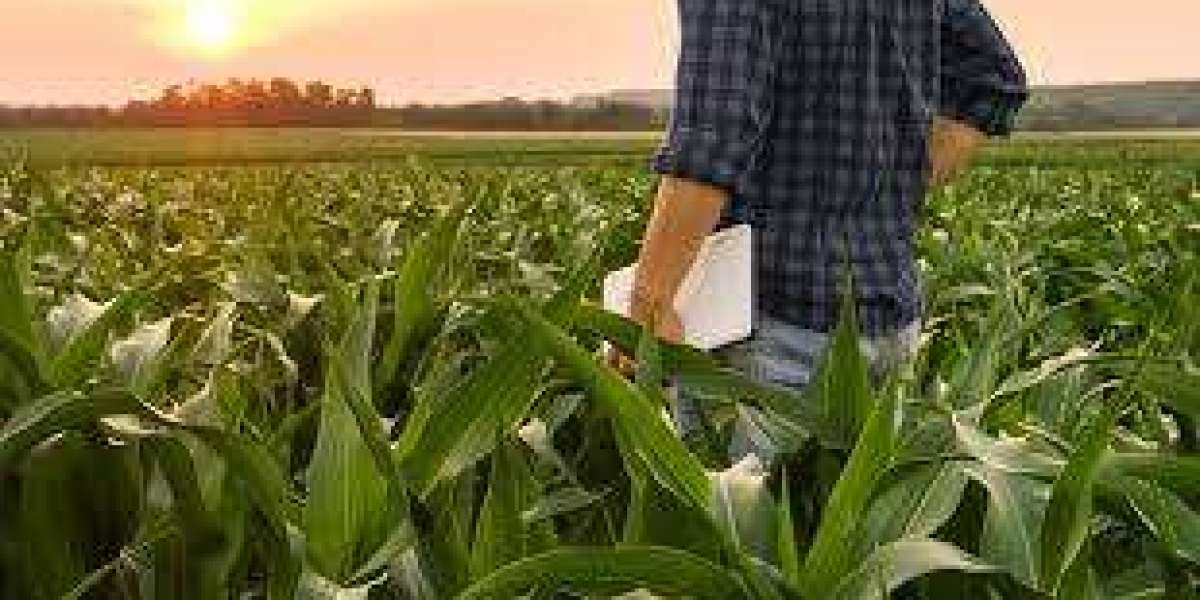 Struggling With Crop Nutrition Problems You’re Not Alone
