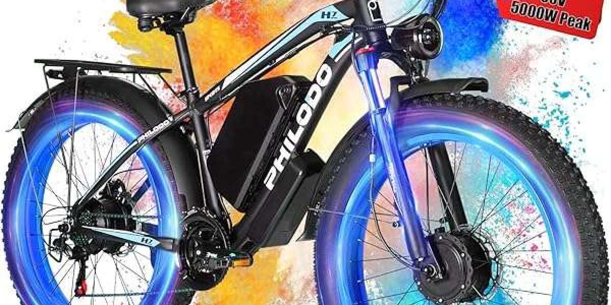 TS60 5000W Electric Bike: The Ultimate Powerhouse for Modern Riders