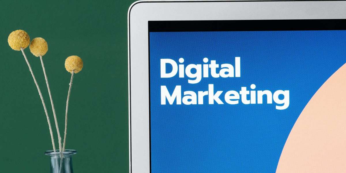 Subhash Nagar Website Experts for Growing Brands