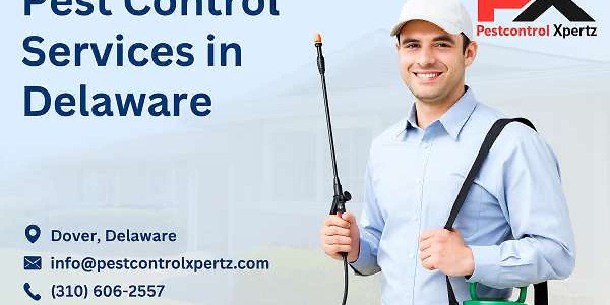 Signs You Need Immediate Pest Control in Bear