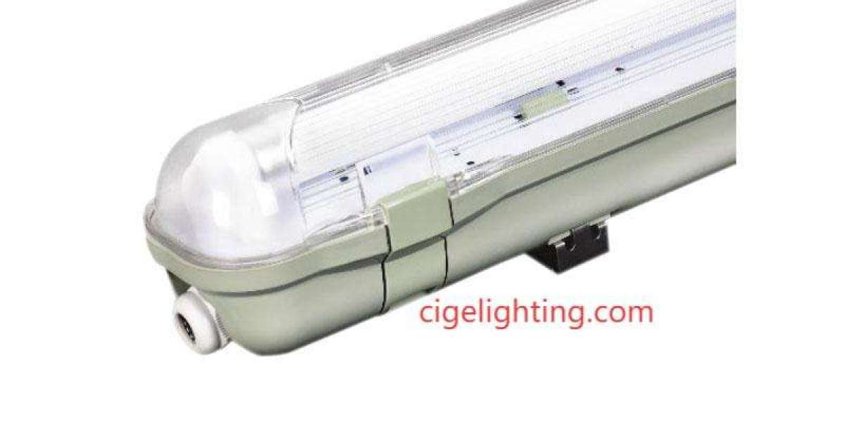 The Green Shield: Cigelighting Ip65 Waterproof Fixture