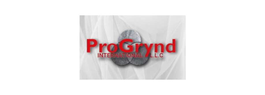 Progrynd LLC Cover Image