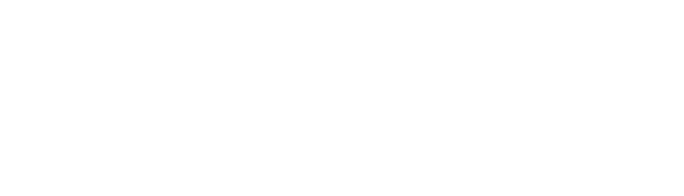 Organic Search Engine Optimization Services provider Company