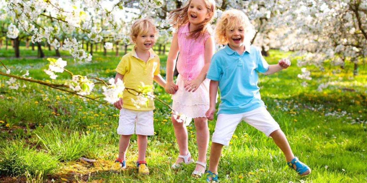 Best Places to Visit in Spring on a Budget: Global Blooms & Affordable Journeys