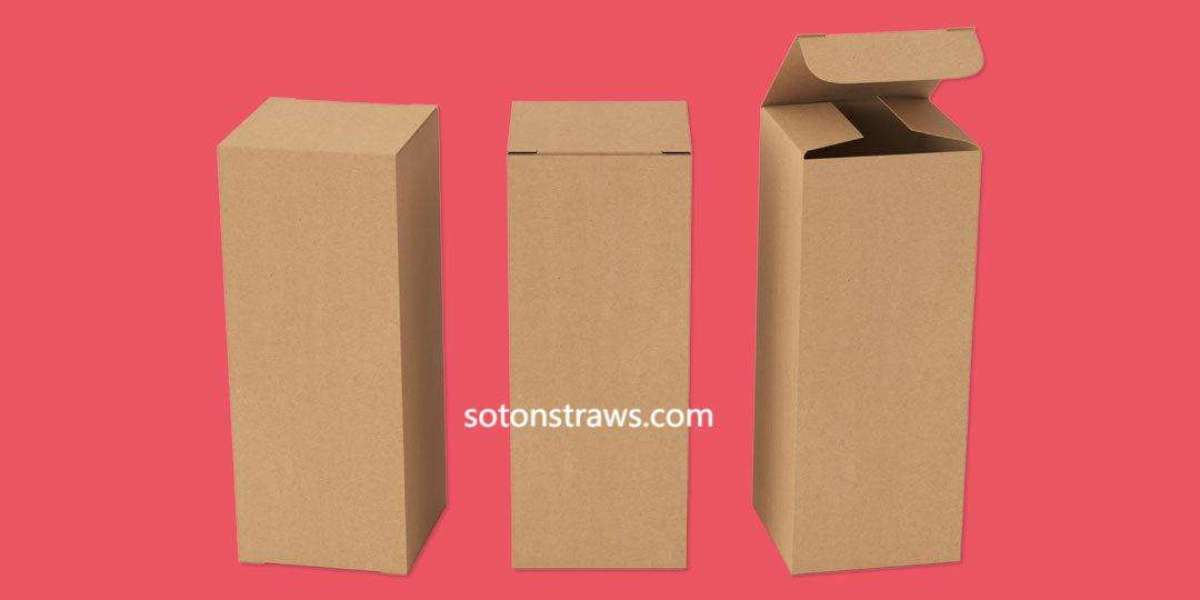 Superior Disposable Kraft Box Factory Options by Soton