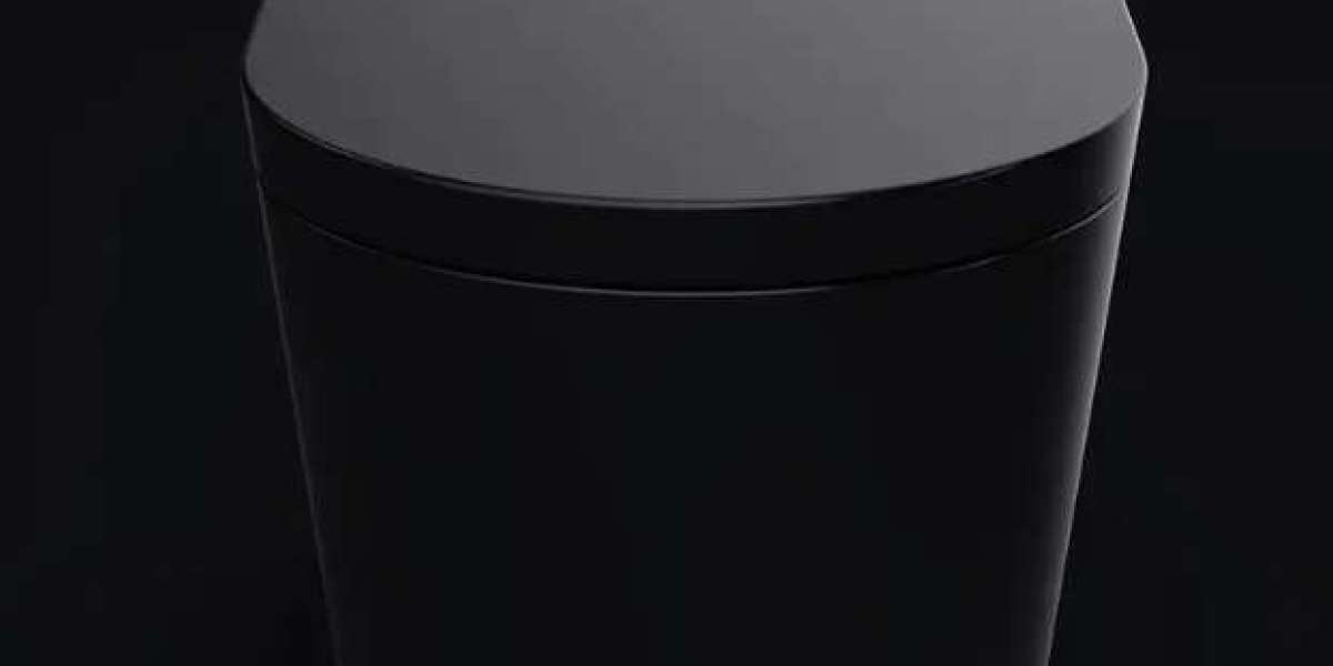 How Can An Instant Heating Intelligent Toilet Save Water And Energy?