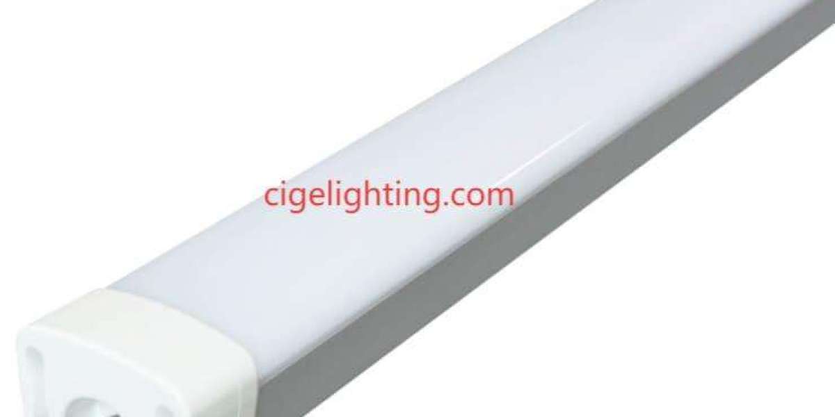 Cige Excels in 2ft Led Triproof Light Durability