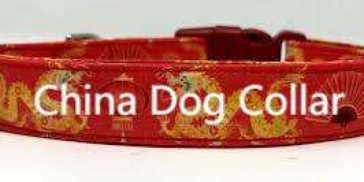 Tallfly Opey Dog Collar: Advanced Design for Pet Wellbeing