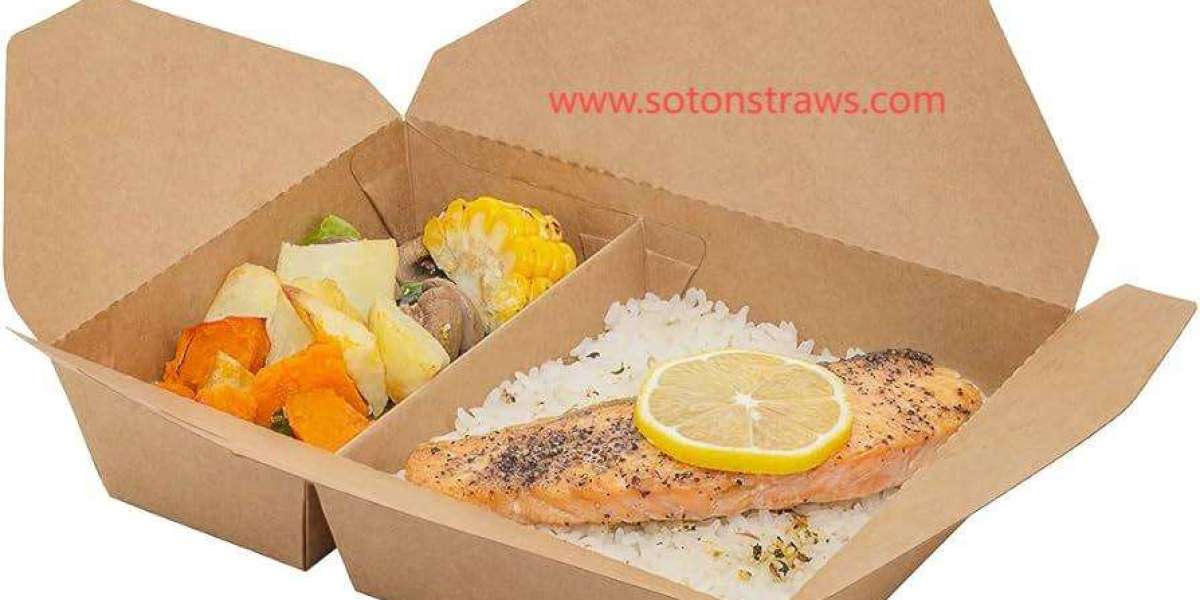 Eco-Conscious Disposable Kraft Box Options Supporting Delivery via Soton