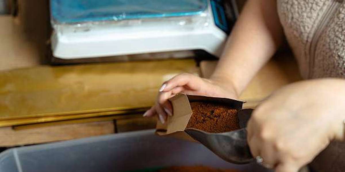 Sustainable Packaging Market in Latin America 2025-2033: Growth, Trends, Share & Forecast Analysis