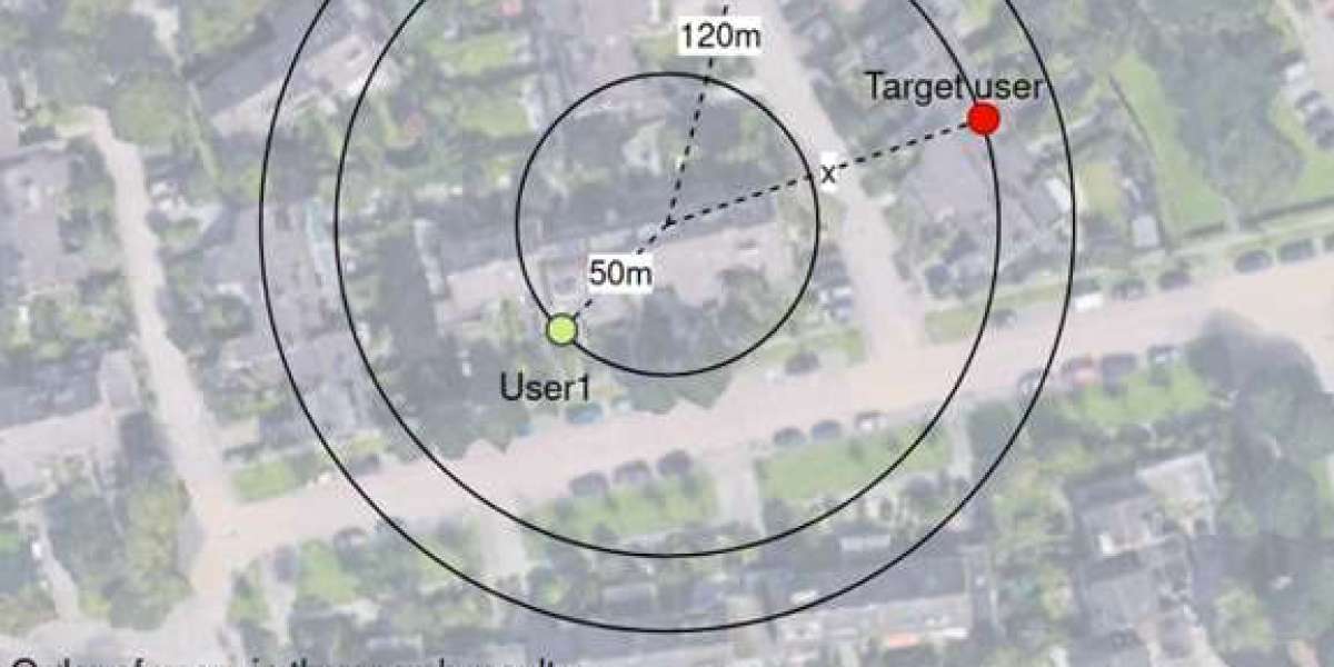 Hornet Dating App Geolocation: Privacy Risks Exposed