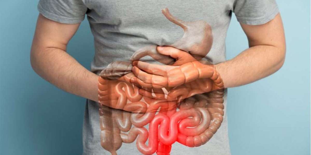 Supports Healthy Digestion: A Complete Guide to Better Gut Health