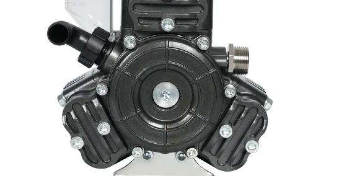 How can a Diaphragm Pump for Pesticides handle different liquids?
