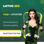 lotus play 365 Profile Picture