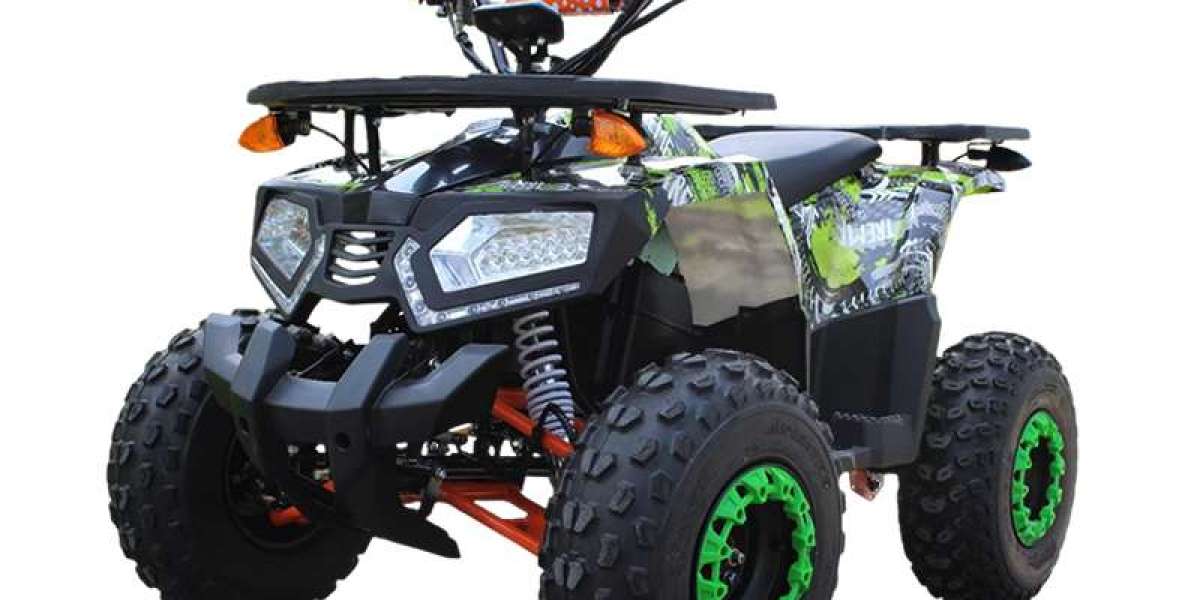 Adult Four Wheel Vehicle in Urban Mobility
