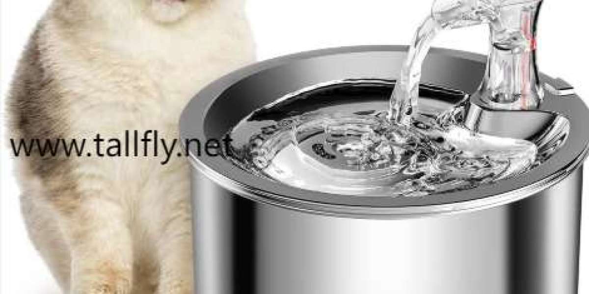 Opey designs focus on feline health and comfort