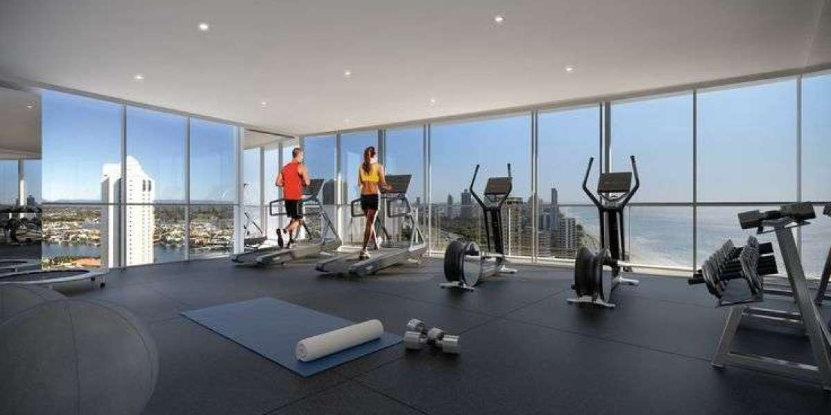 Perfect View Gym and ERP Software Dubai: Optimizing Fitness and Business Operations