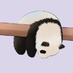 sean zhang Profile Picture