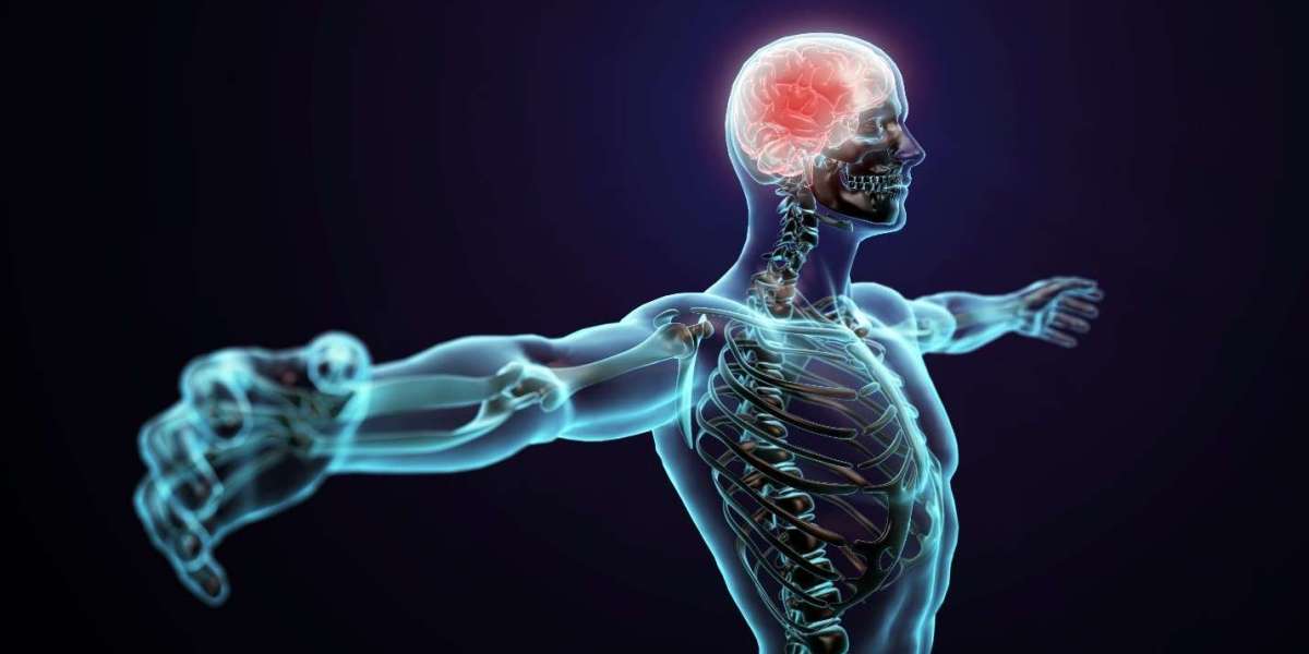 Nerve Health: A Complete Guide to Protecting and Strengthening Your Nervous System