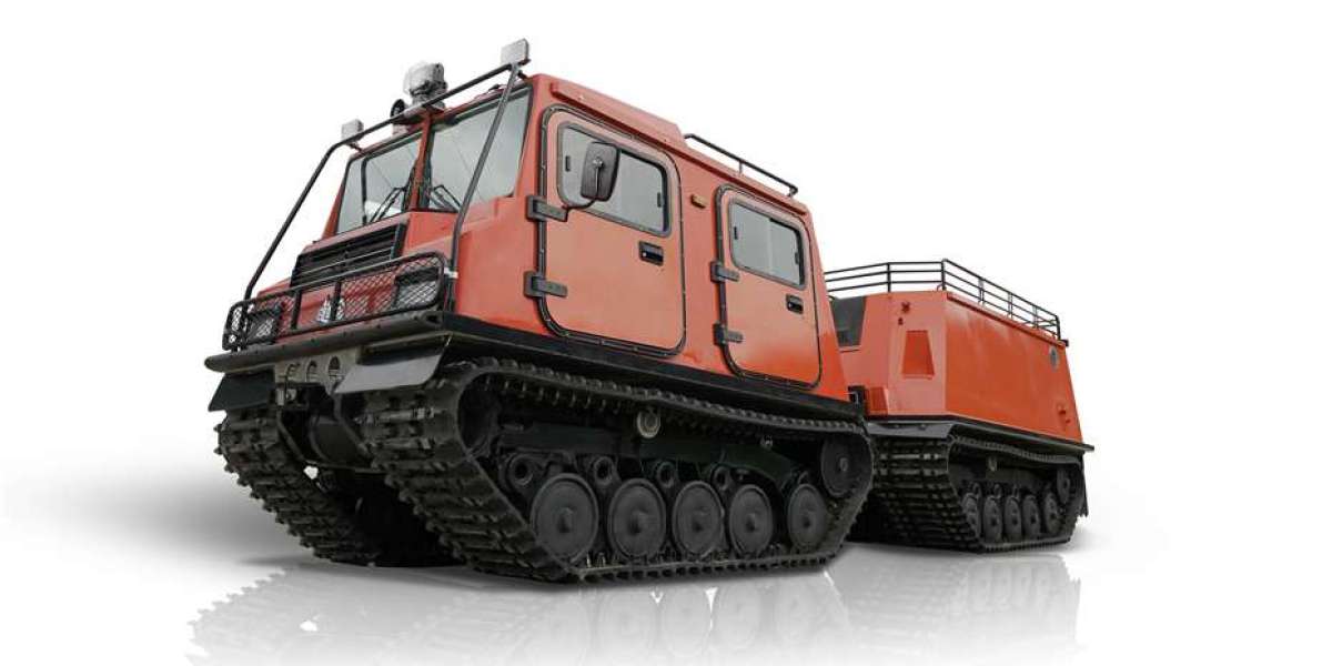 Transport Vehicles in Public Transit
