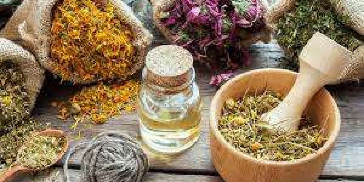 The Rise of Botanicals Market Industry Trends Fueling Growth