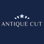 Antiquecut Priya Profile Picture