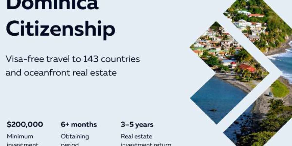 Expand Your Horizons with the Dominica Citizenship by Investment Program