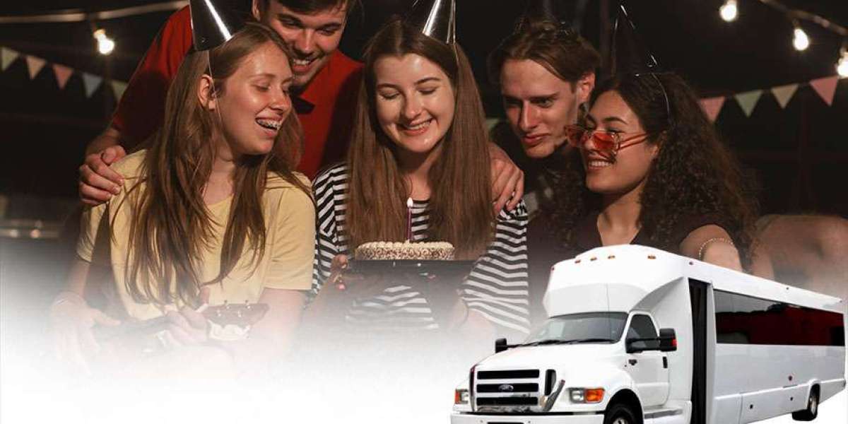 Dublin Party Bus Rental for Easy and Comfortable Group Travel