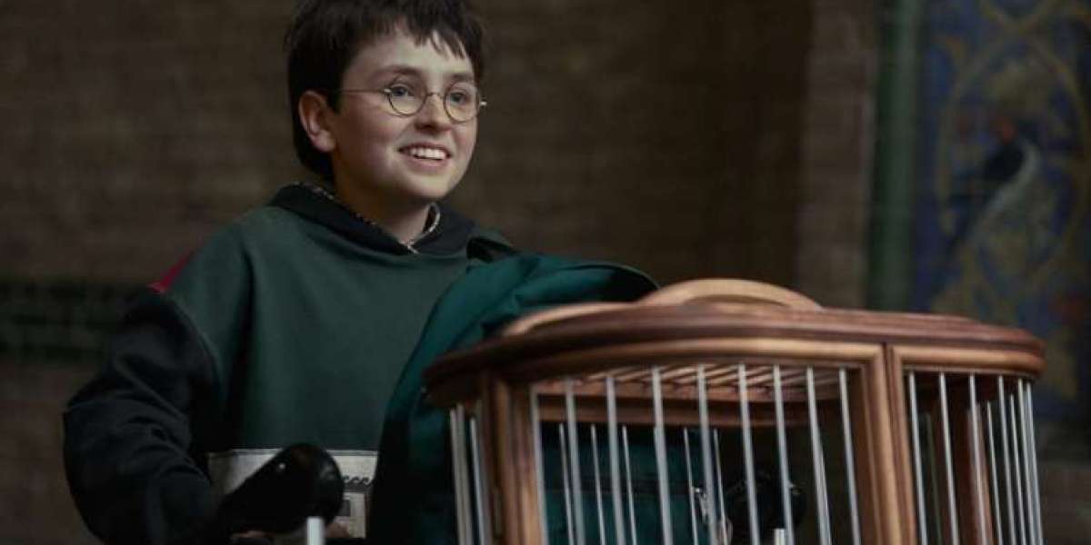 Harry Potter Series - HBO's 'Finding Harry' Documentary