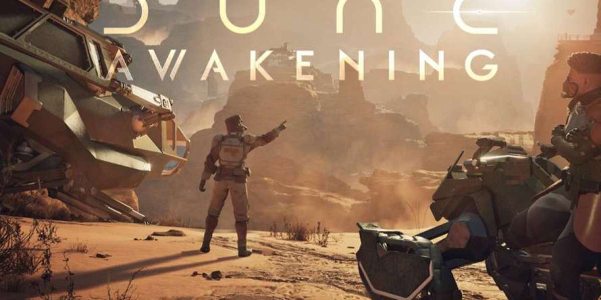 Vault Space in Desert MMO – Players Demand Expansion