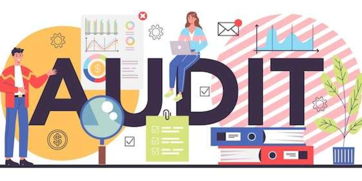 Audit Support in Preparing Investor-Ready Reports