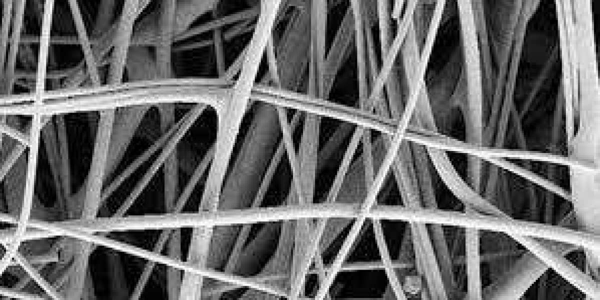 Experts Predict Track Etched Membrane Market Growth Driven by Innovation and Demand