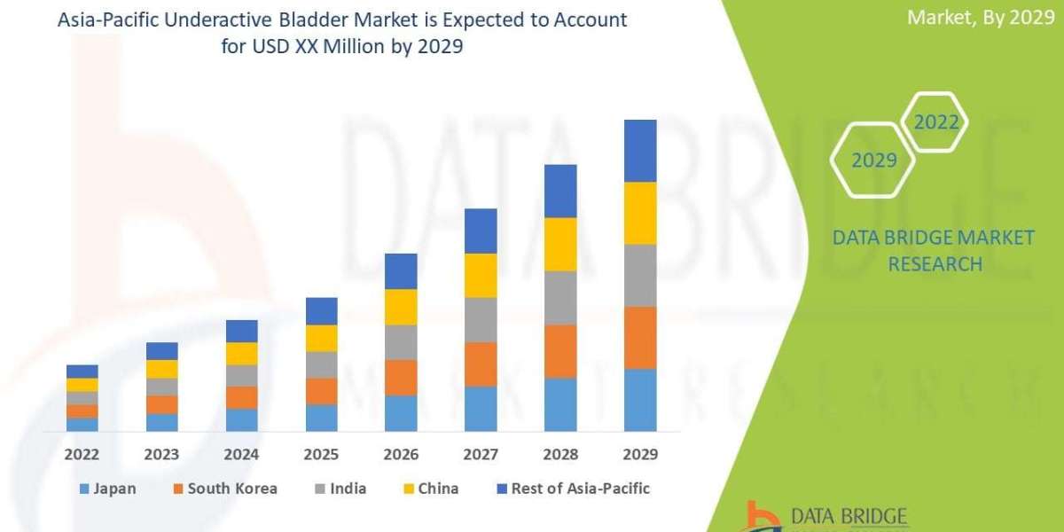 Underactive Bladder Market Size and Demand Analysis