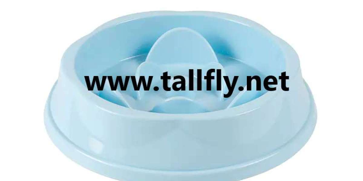 5 Ergonomic Design Features That Revolutionize the Modern Pet Food Drinking Bowl