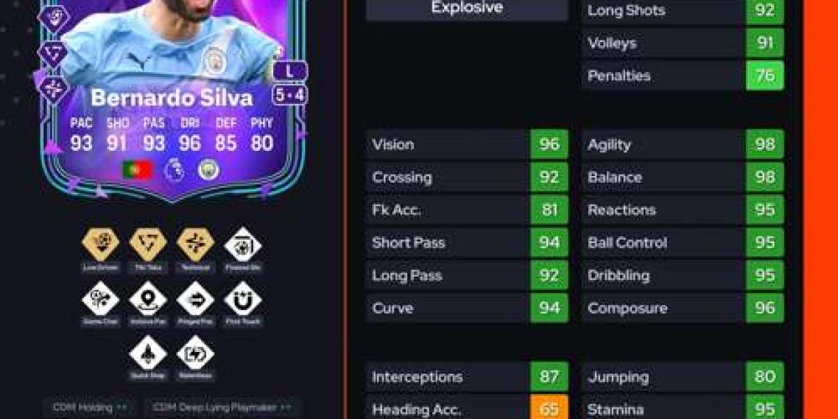 DCE Bernardo Silva Premium : solutions et prix