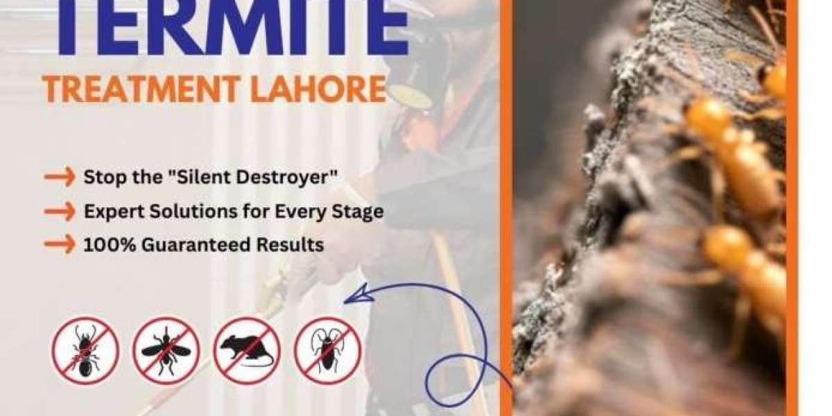Complete Guide About Termite Control in Lahore for Long Lasting Property Protection