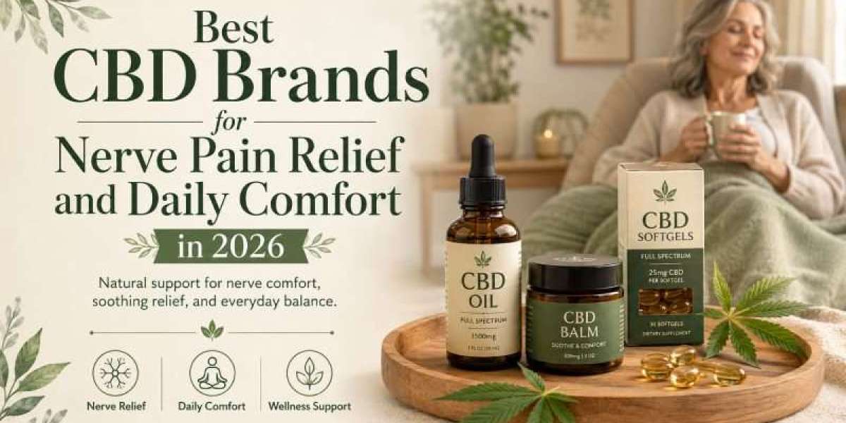 Best CBD Brands for Nerve Pain Relief and Daily Comfort in 2026